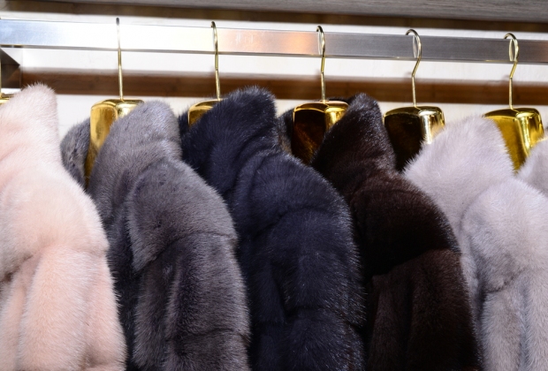 Picking The Right Mink Coat