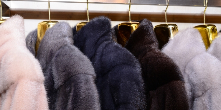 Picking The Right Mink Coat