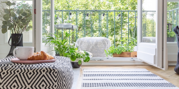 How to Select The Right Rug Store?